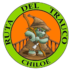 rutadeltrauco.cl